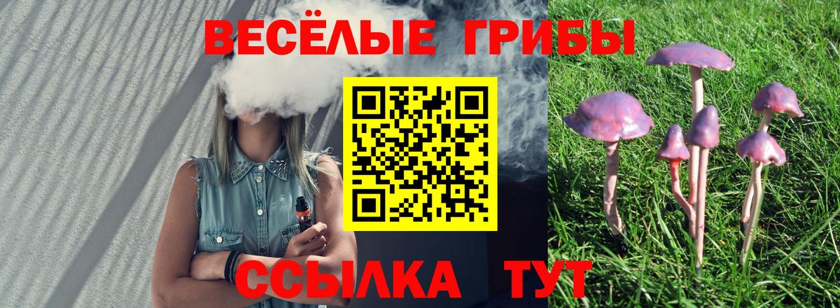 Псилоцибиновые грибы Cubensis Анапа